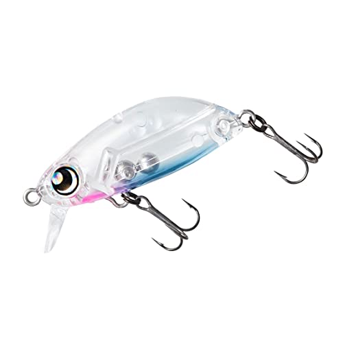 _C(DAIWA) AWO oO l ܘY sL[iCg Z36F A[