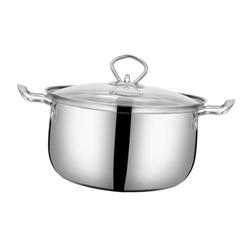 KICHOUSE 1 Juego Sopa anti-derramación de sopa pequeño ollas con tapa cocinando antiadherente olla pequeña olla de acero inoxidable con tapa ollas para sopa ollas de cocina Vidrio Plata