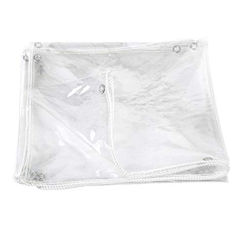 Lona transparente de PVC con protección solar para todo clima 2