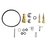 Pour une installation facile : le kit de reconstruction comprend tous les composants nécessaires pour une restauration rapide de la fonction du carburateur sans outils spéciaux nécessaires pour l'installation