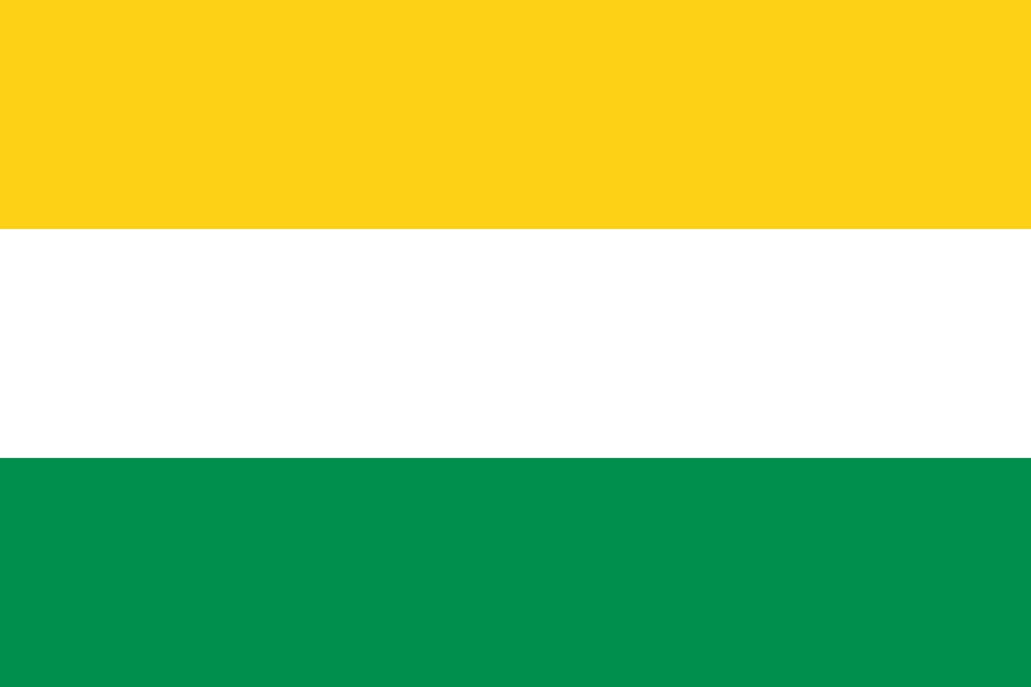 Drapeau Lomas de Sargentillo grand format horizontal pour mât