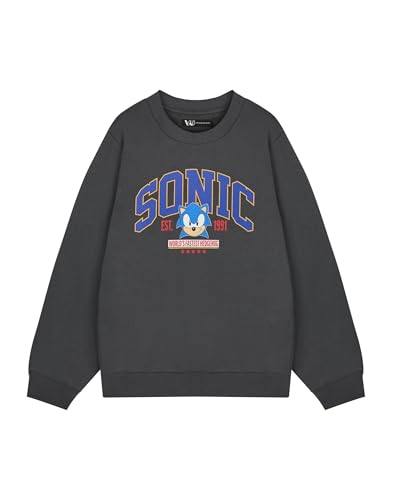Image of Sonic The Hedgehog Men's Grey Sweatshirt | World's Fastest Sonic Graphic Sweater | Classic Video Game Apparel | Retro Gamer Jumper | Official Sega Merchandise for Men
