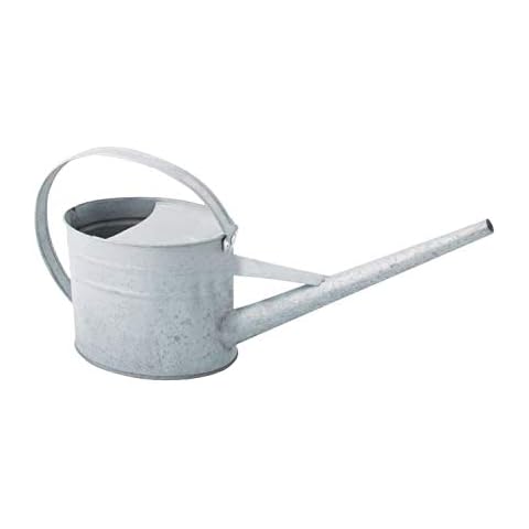 Esschert Design Indoor Watering Can, Silver Cover