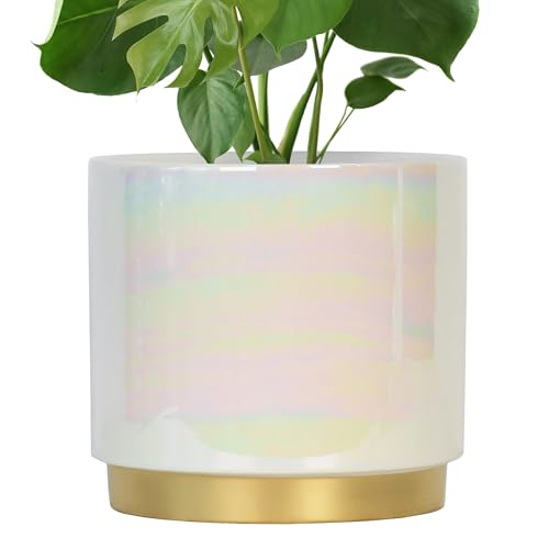 Gepege White Indoor Plant Pots for Plants Large Ceramic Planter with Drainage Hole 9.6-inch Succulent Orchid Flower Pot - Rainbow Pearl Glaze