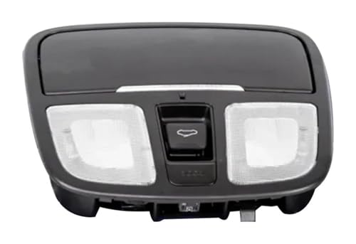Lámpara de techo Hyundai Genesis Coupe consola superior interior 928102M5009p