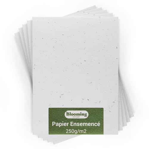 Blooming Papel sembrado – Lote de 10 hojas para plantar – Tamaño A4 250 g/m2 – 21 x 30 cm – Blanco virgen – Semillas de flores silvestres biodegradables – Tarjetas, invitaciones, impresiones