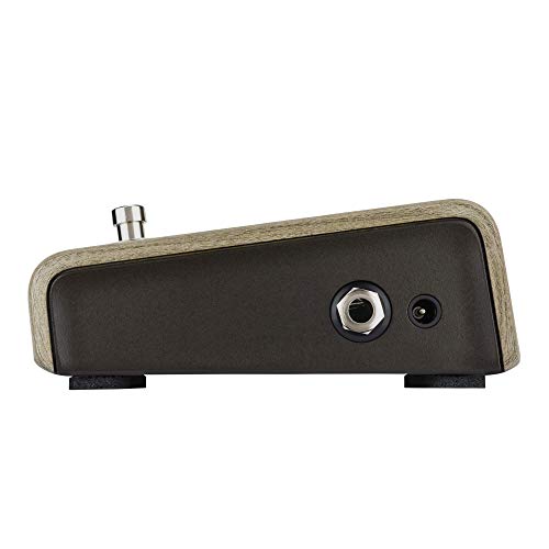 L.r. Baggs Align Active Di Acoustic Guitar Effects Pedal #TOP4