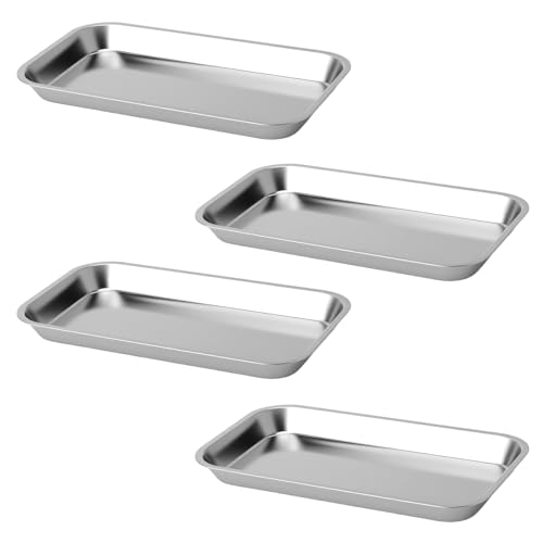 GZRXIOUS 4PCS Bandeja de Acero Inoxidable Rectangular Set, Bandeja Metálica Pequeña, Bandejas de Acero Inoxidable para Laboratorio, Clínica Dental y Formación