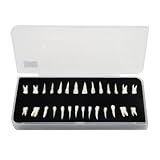 28Pcs Dental Model Plastic Artificial Teeth Demonstration Model 1:1 Realistic Plastic Permanent Teeth for Dental Education and Study