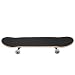 SALUTUYA Allrad Skateboard High Strength Bracket Skateboard Ahorn Skateboard, für Outdoor-Unterhaltung, für Skateboard-Liebhaber(Diaosi)