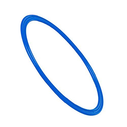Visiodirect Cerceau Plat Coloris Bleu - Diamétre 40 cm