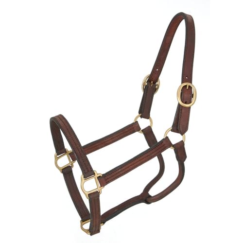 Royal King Leather Track Halter - Yearling