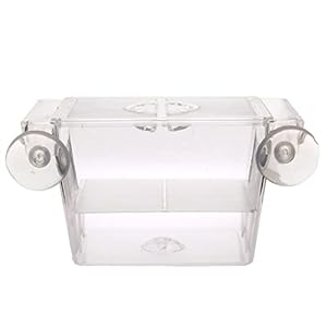 Aquarium Transparante acryl vis tank fokken isolatie doos aquarium broederij incubator houder vis fokkast