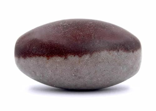 Image of PANDIT NM SHRIMALI Natural Narmadeshwar Shivling Original | Ardhnarishwar Shivling Narmadeshwar Stone for Jaldhari Stand Pooja Abhishek Lord Shiva Ji Home Office Gift Item, 2.5 Inch