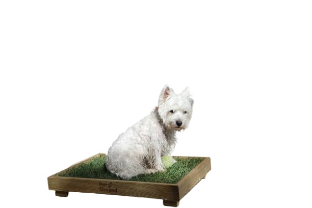 PetGround, Lit pour Chien, Gazon 100% Naturel, Caisse en Bois, Ecologique, Inodore, Réutilisable, Standard (60x40cm)