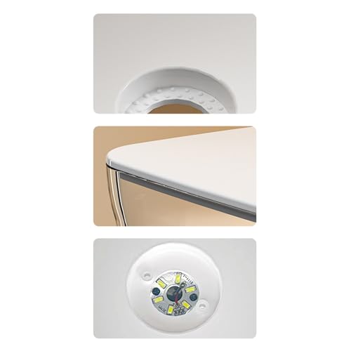 Mini aquarium Betta avec lampe LED intégrée pour bureau et maison - 8
