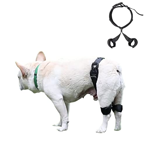 Image of Adjustable Dog Knee Brace,Dog ACL Hind Leg Brace,Support with Cruciate Ligament Injury, Joint Pain and Muscle Sore S