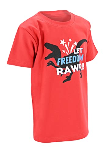 Image of Boys Short Sleeve Funny Graphic Tees for Toddler to Big Kid