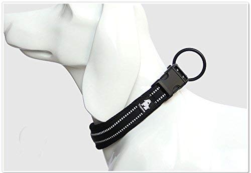 Truelove Dog Training Halsband tlc5011 Reflektierende Premium Accessoires aus Duraflex Schnalle Nylon schwarz,