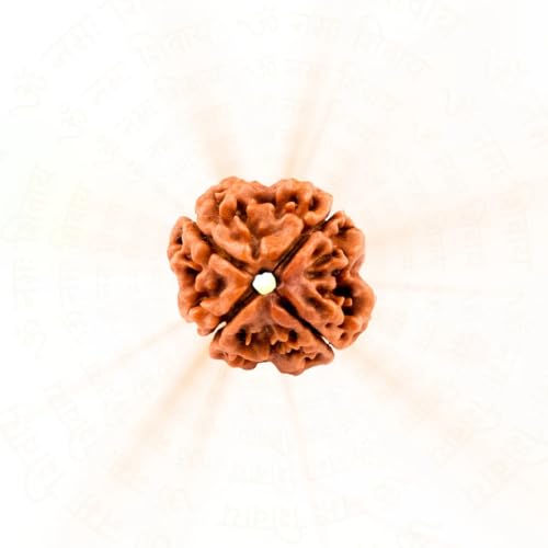 4 Mukhi Rudraksha – Original Nepali Four Mukhi Bead for Lord Brah...
