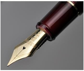 Amazon.co.jp: プラチナ万年筆 万年筆 #3776センチュリー ブルゴーニュ