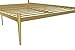 Novogratz Nicole Modern Metal Platform Bed with Tall Vertical Slat Headboard, Underbed Space for Storage, No Box Spring Needed, Queen, Gold