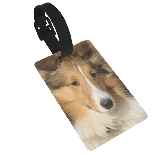 ���Q�b�W�^�O ���h �l�[���^�O �������V�F���e�B��̌� ���Q�b�W�^�O�l�[���z���_�[ �֗� �l�[���v���[�g �O�b�Y �Z��/�d�b�ԍ�/���b�Z�[�W�Ȃ� ���s�p�i