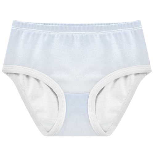 Joisal Cotton Toddler Girls Underwear Ombre Blue White Cute Panties Girl Florals Briefs Undies Kids 2t