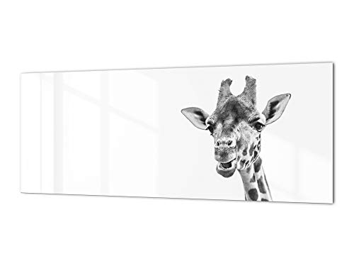 Stylish glass backsplash - Photo glass upstand Animals Series BBS11:
