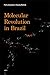 Molecular Revolution in Brazil (Semiotext(e) / Foreign Agents)
