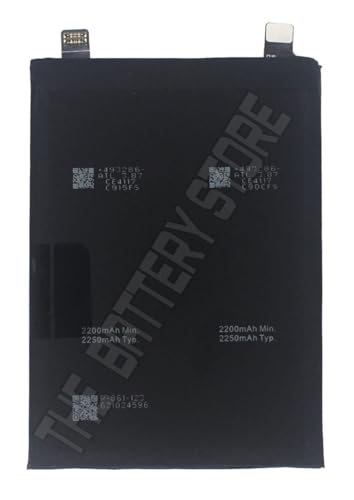 Image of THE BATTERY STORE Original BLP861 Battery for OnePlus Nord 2 5G Battery with 6 Month Warranty***(PR563)