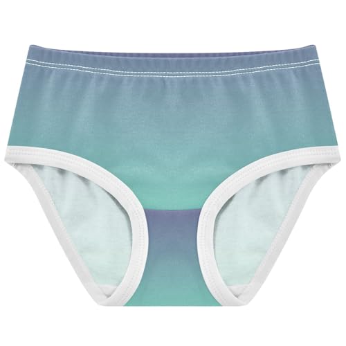 Joisal Toddler Girls Underwear 2t Cotton Cute Panties Girl Stylish Briefs Undies Kids Gradient Violet Aquamarine Ombre