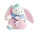 Baby Nat' - Peluche Musicale Lapin - Boîte à Musique - Blanc/Rose - Idée Cadeau - Lapin Berry - BN0244