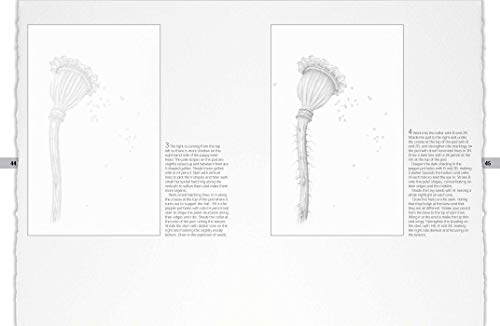 Botanical Drawing: A Step-By-Step Guide to Drawing Flowers, Vegetables, Fruit and Other Plant Life