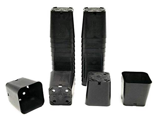 Fat Plants San Diego 2 Inch Plastic Planters/Pots - Black (25)