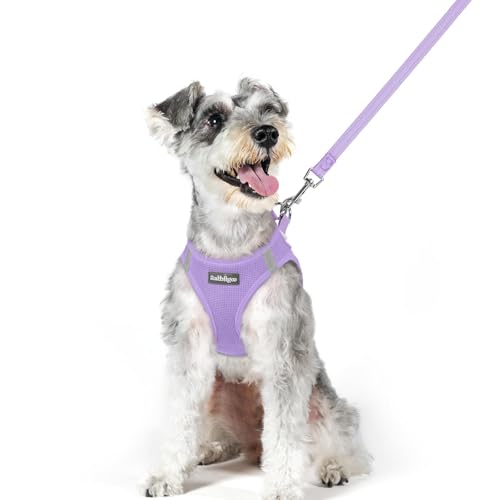 Image of rabbitgoo Dog Harness Medium Sized and Leash Set, Step-in Puppy Pet Vest