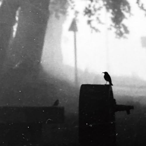 M&uacute;sicas posibles - Otras canciones bonitas - 17/01/26