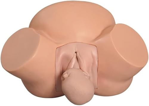 Simulateur d'accouchement obstétrique avec fœtus articulé