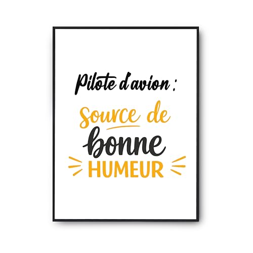 Affiche Pilote d'Avion Otshirt : Dites Adieu aux Murs Vides avec ce Poster Humour