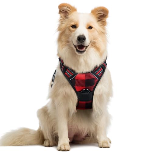 rabbitgoo Dog Harness No Pull with 2 Leash Clips, Adjustable Soft Padded, Reflective Oxford No Choke Pet Vest with Easy Control Handle for Medium Sized Dogs, Red Plaid, M