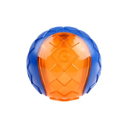 GiGwi ޸޳ ߰ް ݼٰ