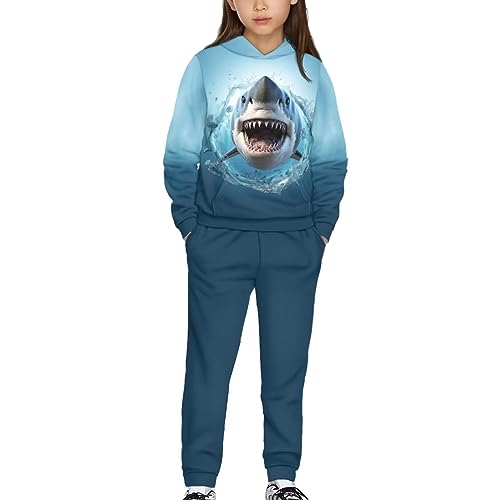 ZFRXIGN Cute Hoodies and Sweatpants Girls Boys Tracksuit 4-12 Years Hoodie Pants Set Activewear Pullover Sweatshirt