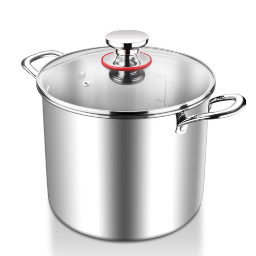 HaWare Large Stock Pot, 10L 25.5cm Tri-Ply Stainless Steel Soup Pot with Visible Lid for Pasta/Meat, Metal Cooking Induction Stockpot, Suit for All Kitchen Stove Top, Healthy & Non Toxic, Easy Clean