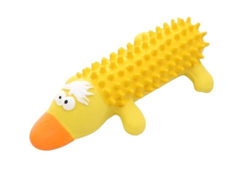 Fiegcit ybgpebNXApf^PApApf^PApApʂ݁A^pApނAC^NeBuȎqp (C)