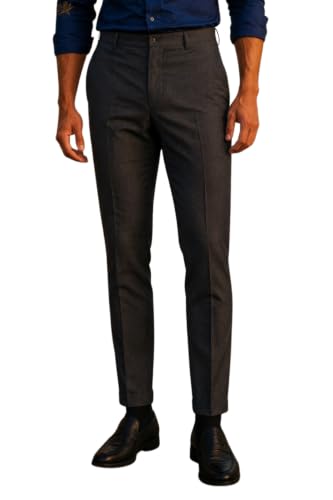 Image of Louis Philippe Men's Regular Fit Fashionable Pleated Trouser Work Ready Solid Formal Trouser