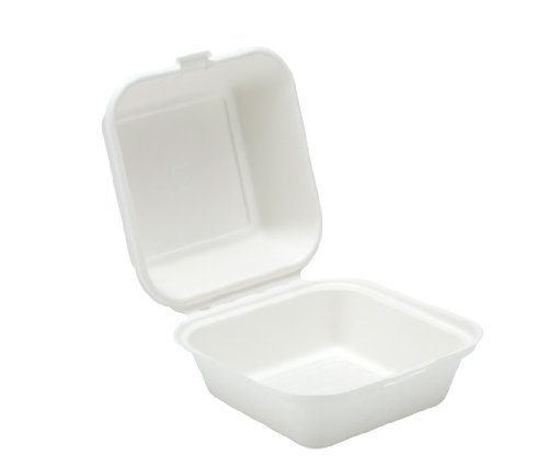 Take Out Boxes Clamshell Hinged Biodegradable To Go Food Containers - 6