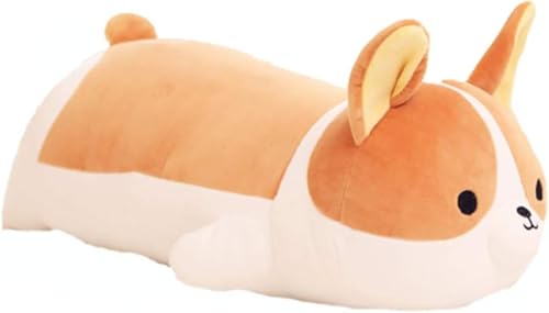 Apaeoflʂ  傫  킢  D R[M[ ӂӂ   A YQ 􂦂 j v[g ʂ   (80cm)