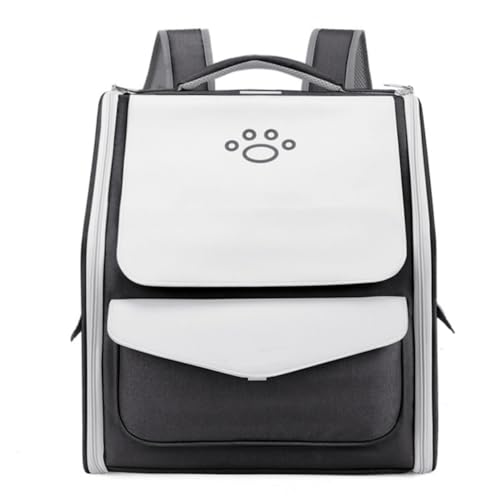 Deronder ybggєALobOApopiAybgbNTbNAX[cP[XAgуybgP[WALX^[tA܂݁AO\A@\AsAO (vbhȂ,ubN)