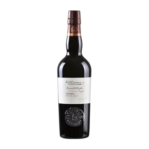 Williams & Humbert Colección de Añadas Amontillado en Rama Palomino Fino Jerez-Xérès-Sherry Botella Medium 50 cl Vino generoso