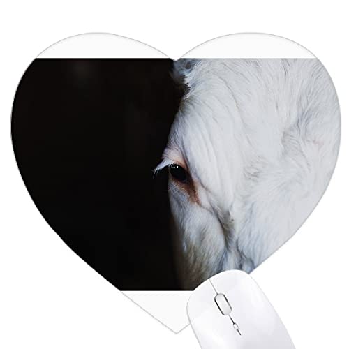 ̓̎ʐ^ n[g^}EXpbhSpbh